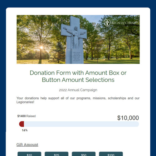 Donation Form with Amount Box or Button Amount Selections